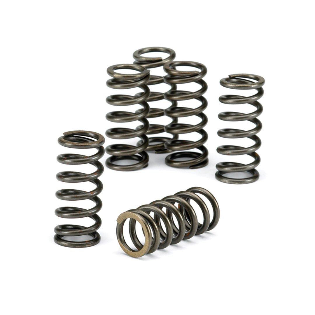 EBC Clutch Spring Kit CSK079