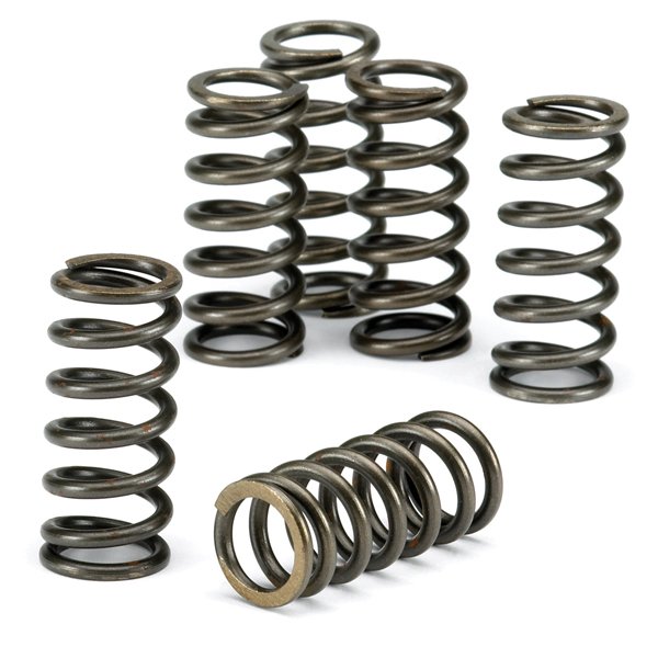 EBC Clutch Spring Kit CSK210