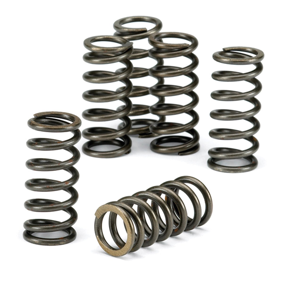 EBC Clutch Spring Kit CSK067